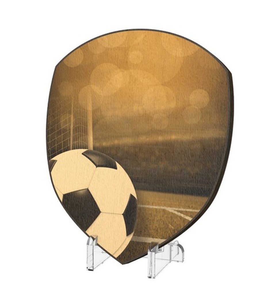 Plaketa WPPR004M06 | Fotbal