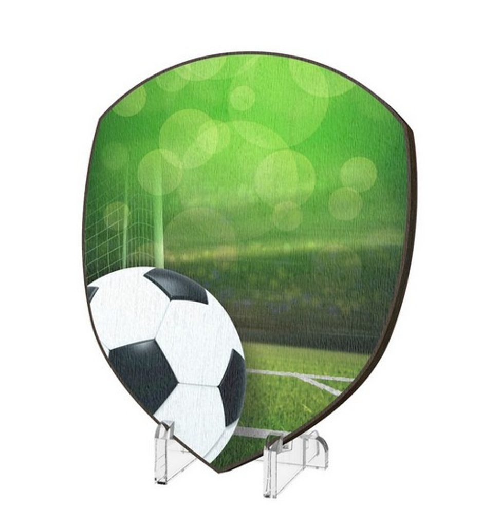 Plaketa WPP004M06 | Fotbal