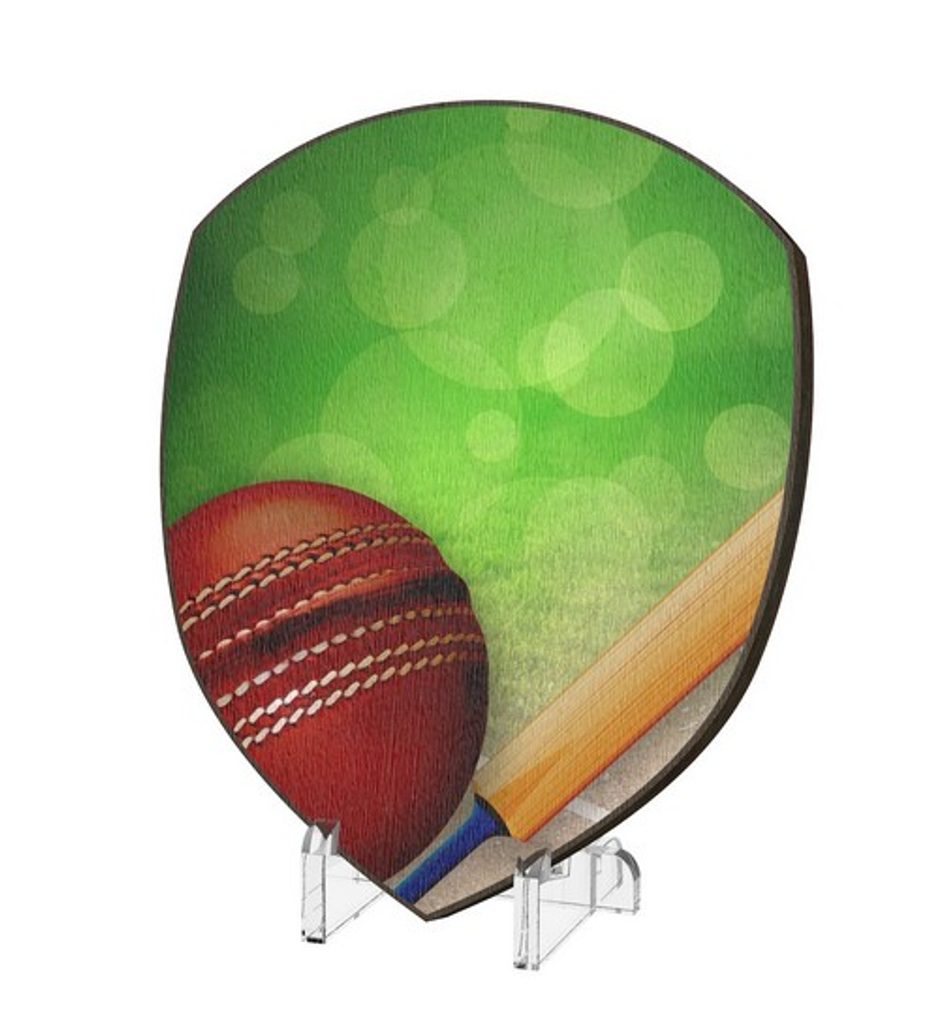 Plaketa WPP004M14 | Cricket