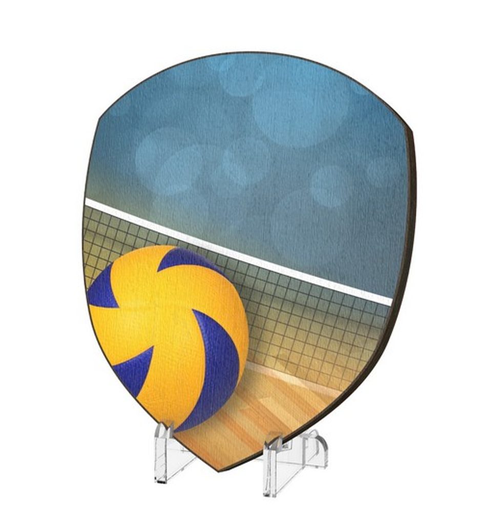 Plaketa WPP004M16 | Volejbal