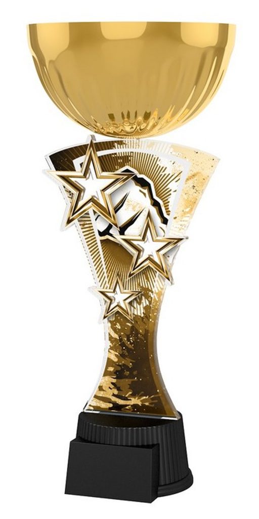 Akrylátová trofej ASTARNCUPMINIM15 | Bojová umění