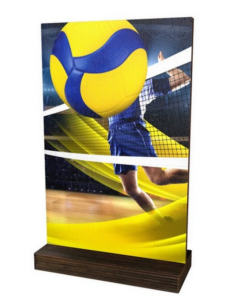 Dřevěná plaketa WPLA01M15 | Volejbal