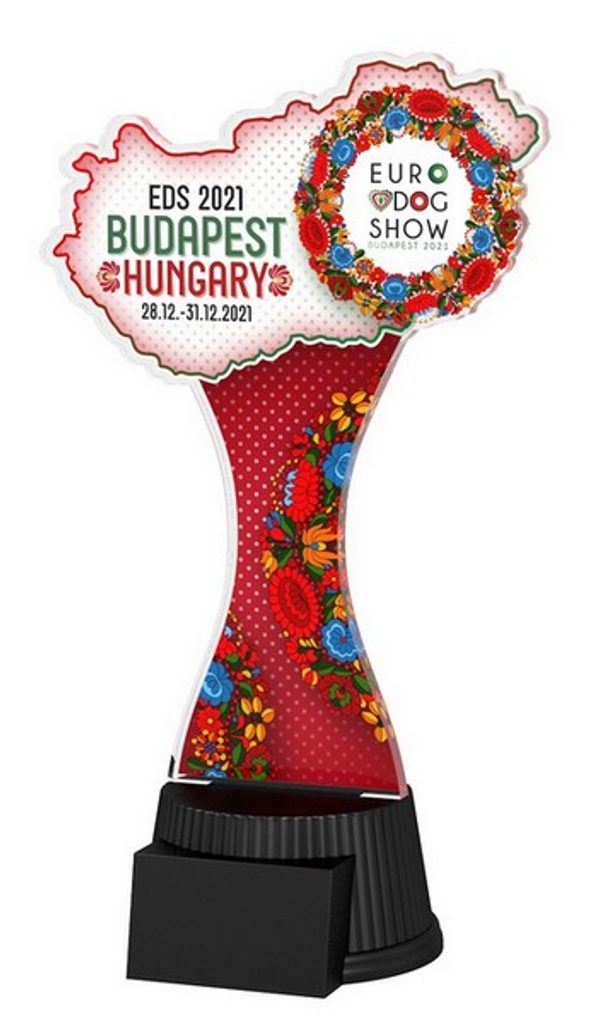 Akrylátová trofej EDS21ACUTC03