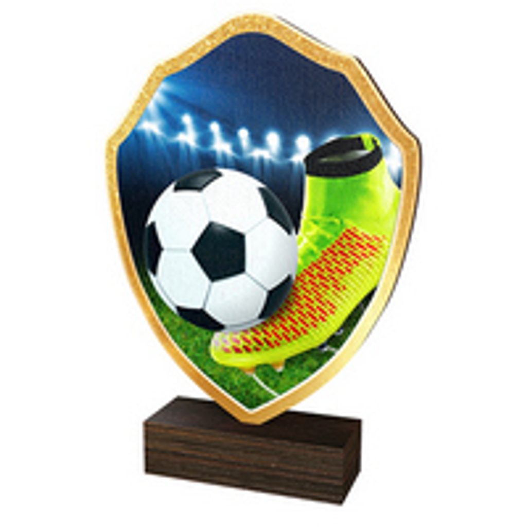Dřevěná plaketa TFRW005 | Fotbal