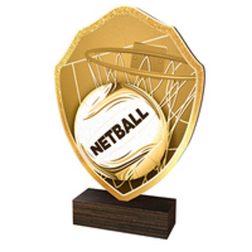 Dřevěná plaketa TFRW127 | Netball