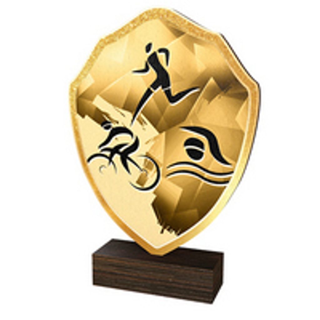 Dřevěná plaketa TFRW187 | Triatlon