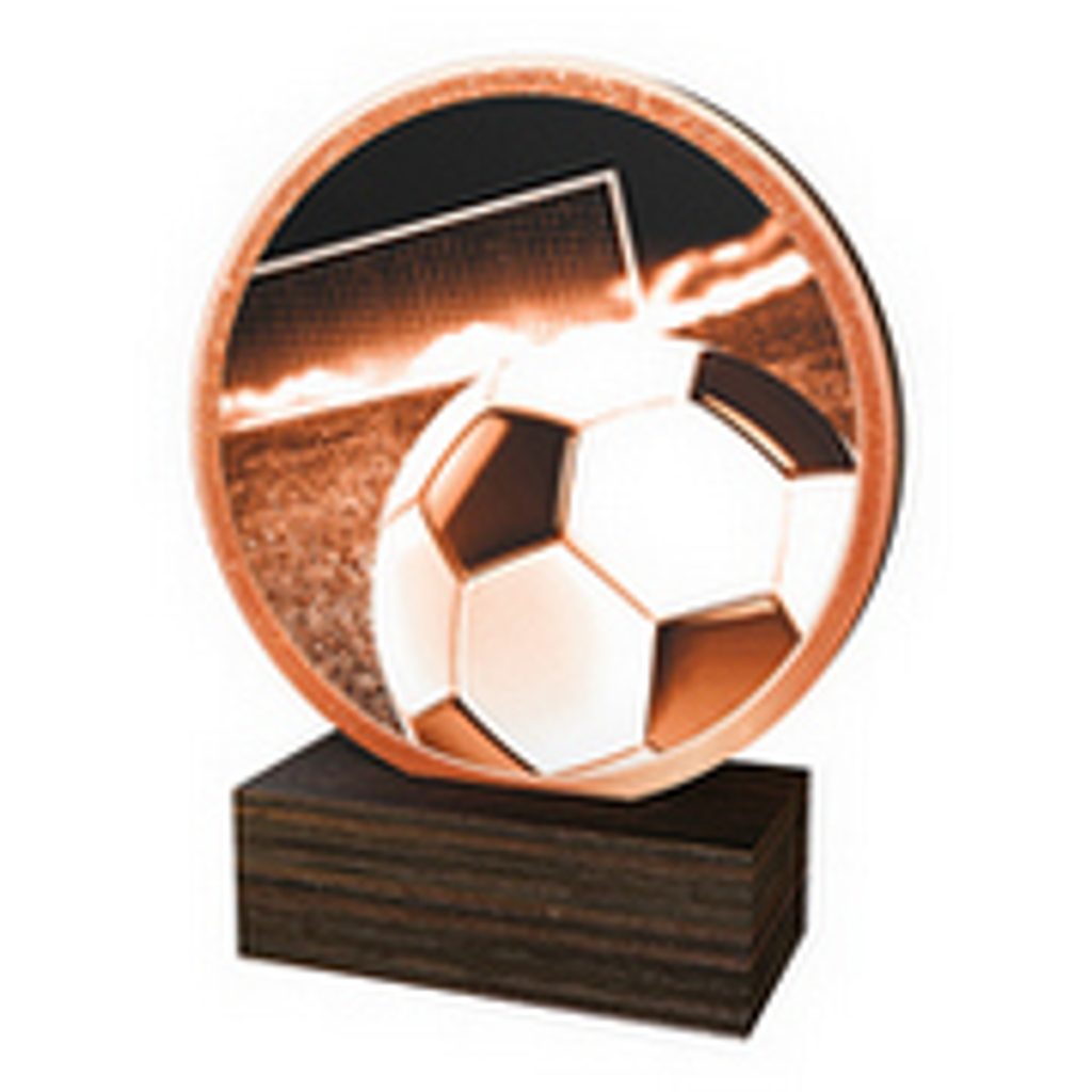 Dřevěná plaketa TFRW504 | Fotbal
