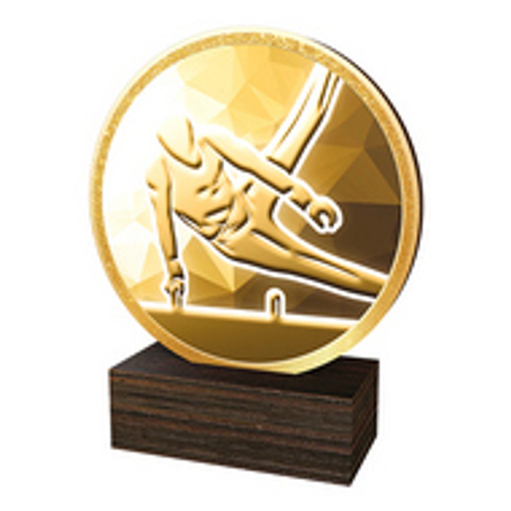 Dřevěná plaketa TFRW679 | Gymnastika